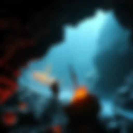 Viewers watching explorers search for treasures in a shipwreck at night on Twitch