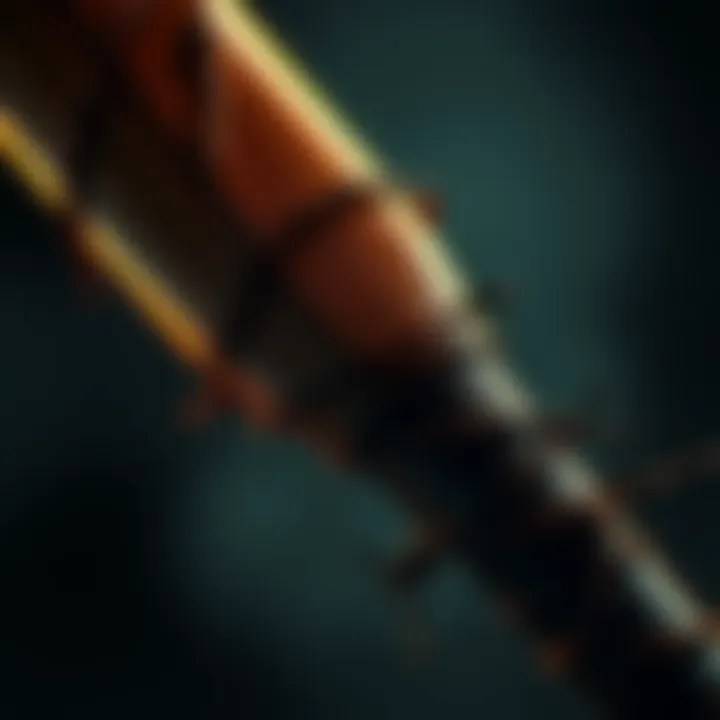 A close-up of the Lucille bat, wrapped in barbed wire, representing the iconic weapon from The Walking Dead.