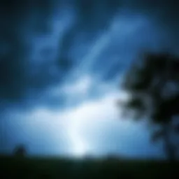 A bright flash of lightning strikes a tree during a storm, capturing the excitement of the Lucky Lightning Shot event.