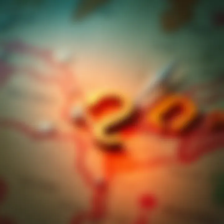 A map marked with a large question mark, indicating an undisclosed location for exploration.