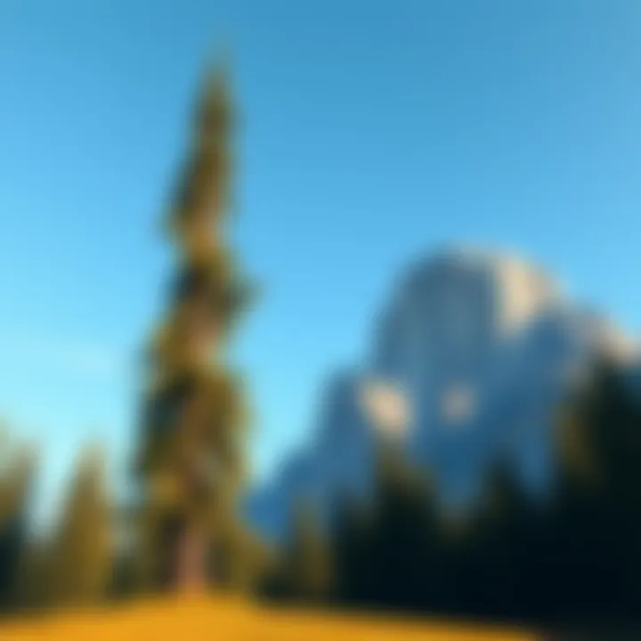 A minor erdtree standing tall at 345 meters with a much larger main erdtree soaring above at 5048 meters in the background.