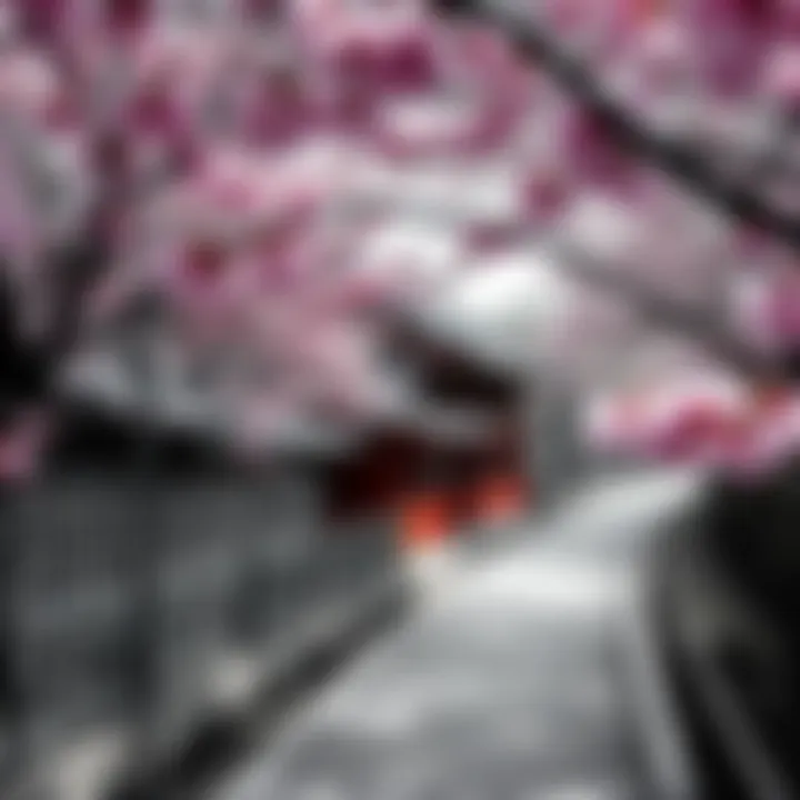 A monochrome photo of Delta showcasing Japanese culture elements, such as traditional architecture and cherry blossoms, creating a serene atmosphere.