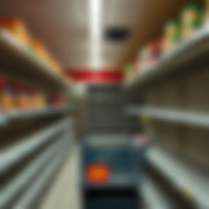 High import fees in Montreal Montreal grocery store shelves showing empty spaces and price tags indicating high import fees