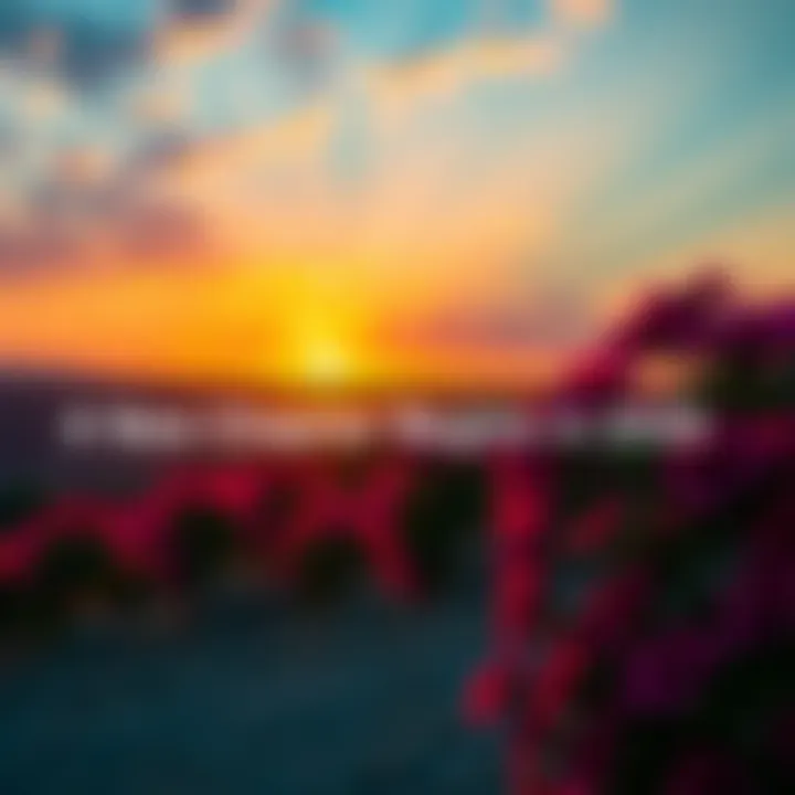 A sunrise symbolizing new beginnings and hope, with vibrant colors in the sky and blooming flowers in the foreground.