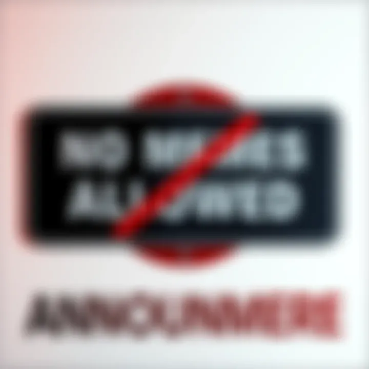 A bold text sign stating 'No Memes Allowed' in a serious tone, set against a plain background, emphasizing the official nature of the message.