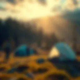 A group of nomads setting up camp in a scenic outdoor area with tents and backpacks, surrounded by nature.