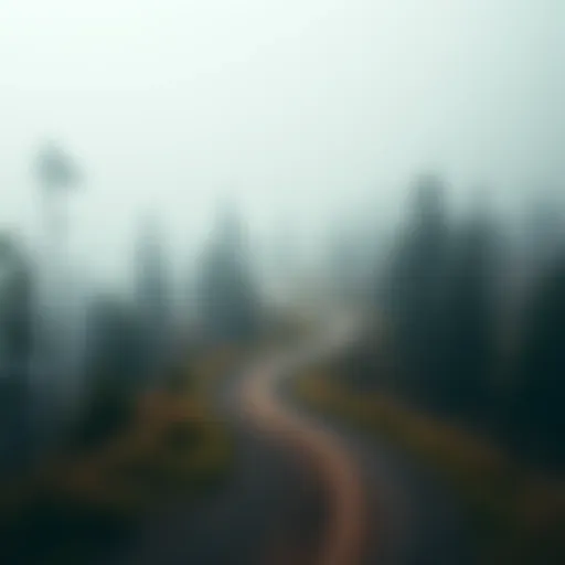 A winding path through a foggy forest, symbolizing life's unpredictable journey