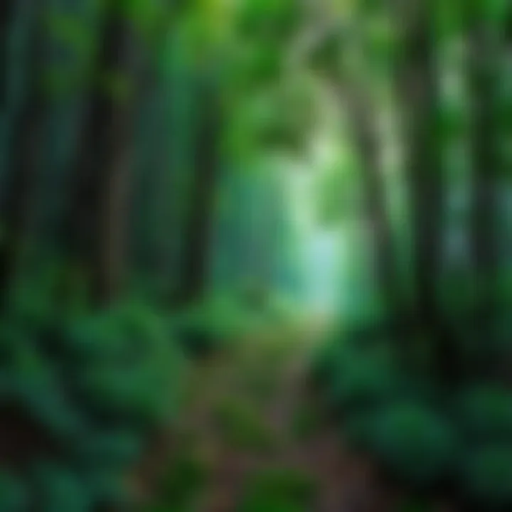 A winding path through a green forest, symbolizing personal journeys and choices.