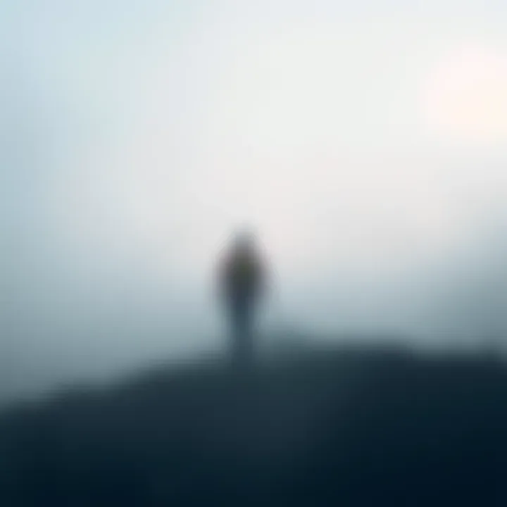 A person cautiously walking through a thick fog, seeking clarity and direction in their journey.
