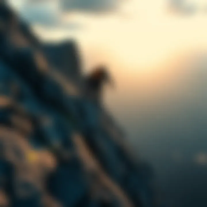 Person climbing a mountain A determined person climbing a steep mountain, symbolizing hard work and persistence in achieving success.