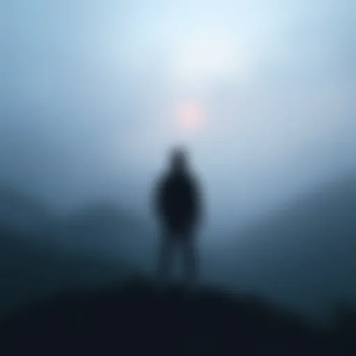 A person standing alone, gazing at a fog-covered valley, symbolizing life's uncertainty