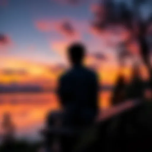 A person sitting on a bench, looking contemplatively at a sunset, symbolizing reflection and growth after challenges.