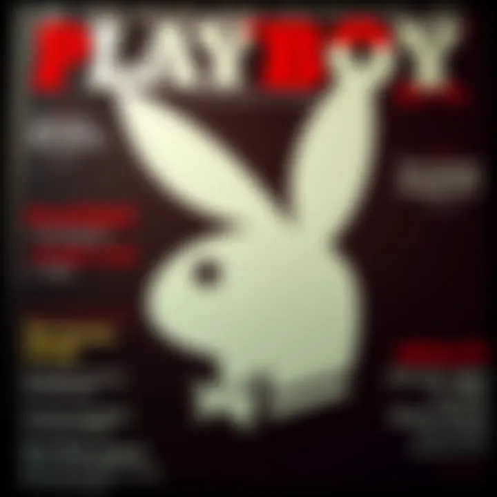 A close-up of the Playboy magazine featured in Metal Gear Solid 4 Master Collection 2, showcasing its iconic cover design.