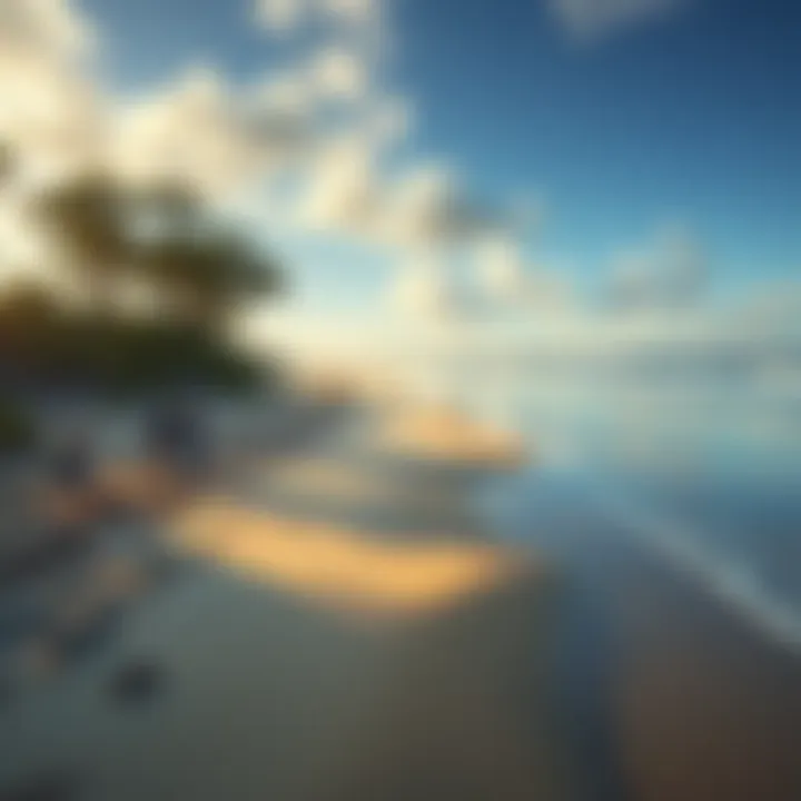 A view of quicksand forming on Wizard Island's sandy shore, with trees in the background and concerned visitors nearby.