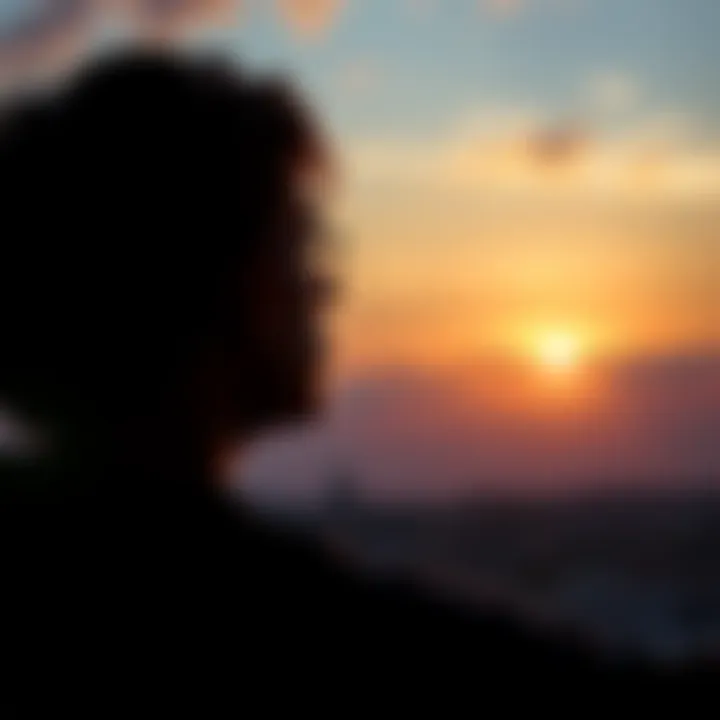 A person reflecting on their past decisions while looking at a sunset, symbolizing growth and learning from failure.