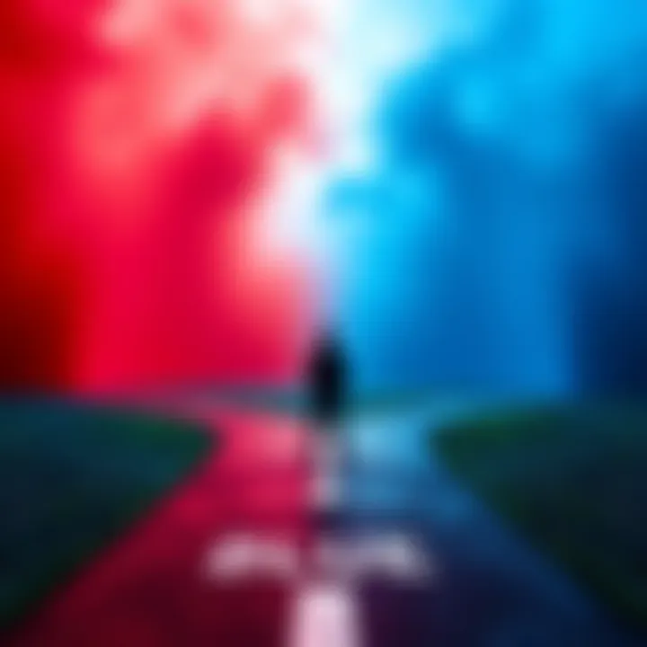 Red and Blue Dilemma A person standing at a crossroads with one path leading to a red area and the other to a blue area, contemplating their choice.