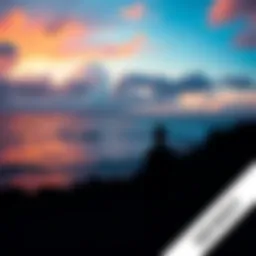 A view of the Pacific Ocean with a silhouette of a character looking out at the water, symbolizing Rossy's possible return