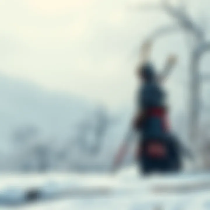 A samurai in traditional armor standing in a snowy landscape, symbolizing Hayashi Tadataka's life after the Boshin War.