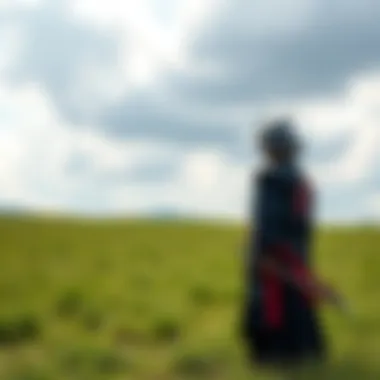 Samurai with limited weapons A samurai stands in a grassy field, holding a katana, showcasing a minimalist approach to weaponry.
