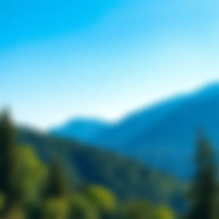 Scenic View of Love Sierra A stunning view of Love Sierra featuring lush trees and mountains under a clear blue sky