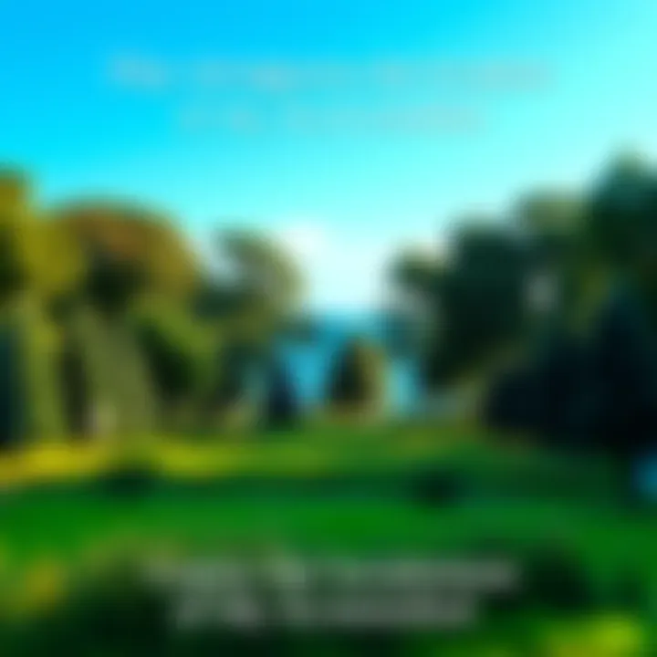 A screenshot showing a beautiful outdoor scene with trees and a clear blue sky, inviting people to guess its location.