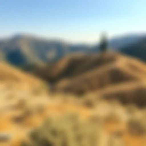 A peaceful landscape of Messenia showing rolling hills and sparse vegetation under a clear sky