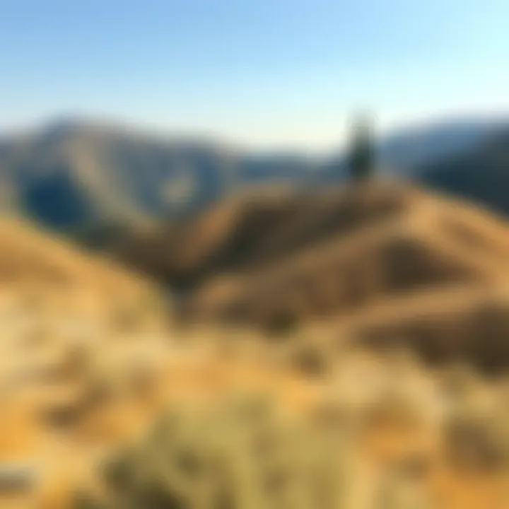 A peaceful landscape of Messenia showing rolling hills and sparse vegetation under a clear sky