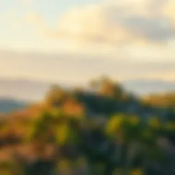 A picturesque landscape showcasing a distinct location with trees and a sky.