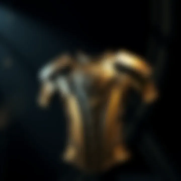 Shoulder Armor Display A piece of shoulder armor showcased against a dark background, highlighting its unique design and details.