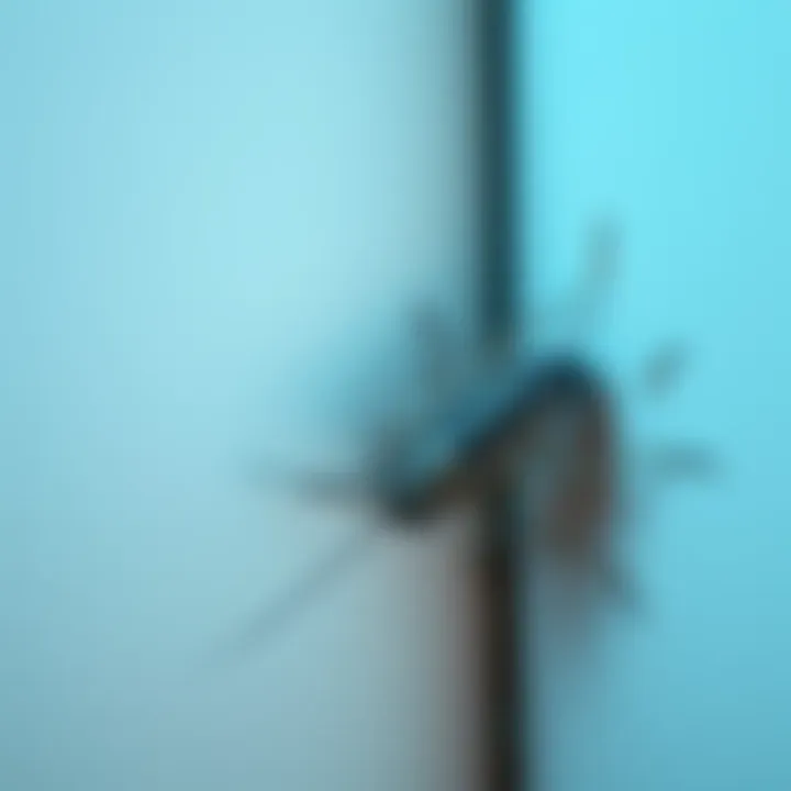 Silverfish in a Corner A silverfish insect resting in the corner of a home, highlighting the pest problem