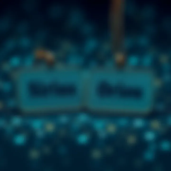 A close-up of two name tags, one labeled Sirius and the other Orion, surrounded by stars. Each name tag has a different design reflecting its cultural significance.