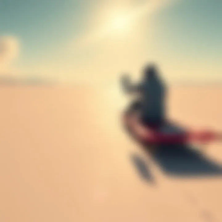 Sliding with Sleds on Plains A character sliding on a sled across flat plains under a sunny sky, aiming for a 500-meter distance.
