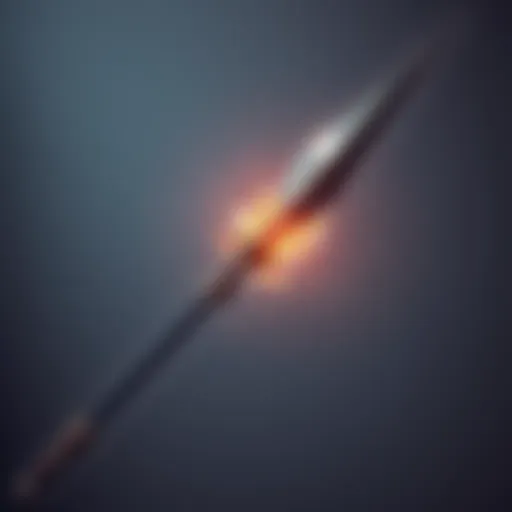 A spear featuring an explosive charge at the tip, designed for close-range combat, set against a simple background.