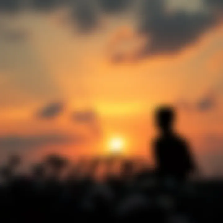 A dark silhouette of a person looking at a sunset, reflecting on life and death, surrounded by fading flowers.