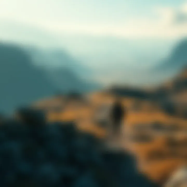 A lone drifter walks through a rugged terrain, facing challenges and adventures in The Jonkler's journey.