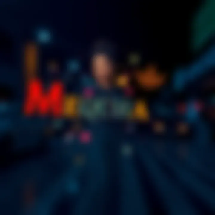 A graphic representation showing the name 'Meiquisha' with elements representing the meanings of 'mei' and 'quisha'