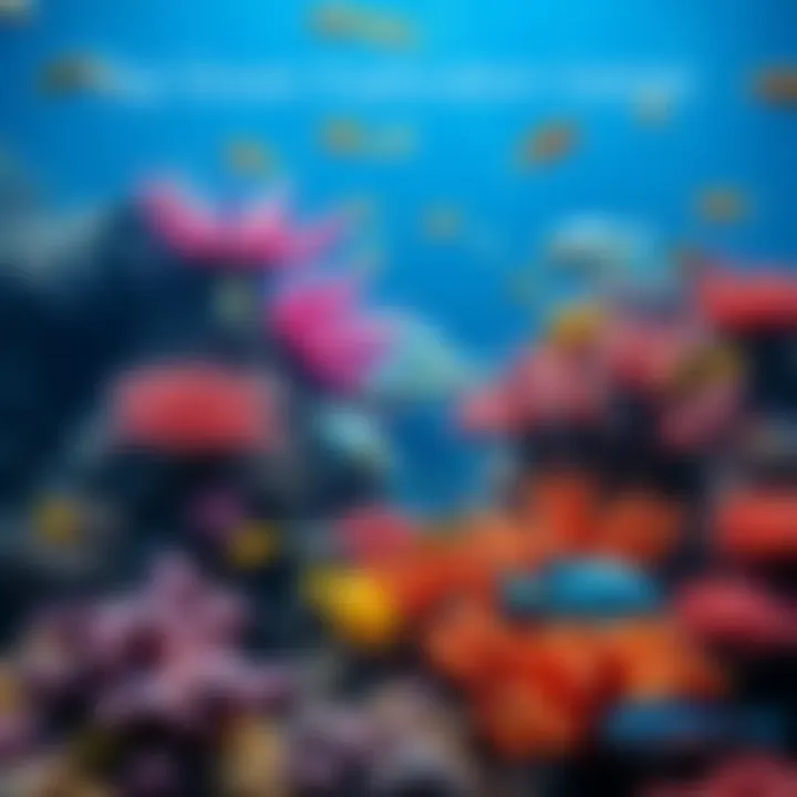 A colorful coral reef with various fish swimming around