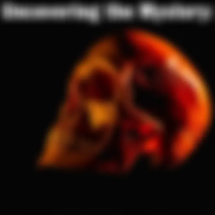 A close-up of a mysterious skull on a dark background, exploring its possible origins.