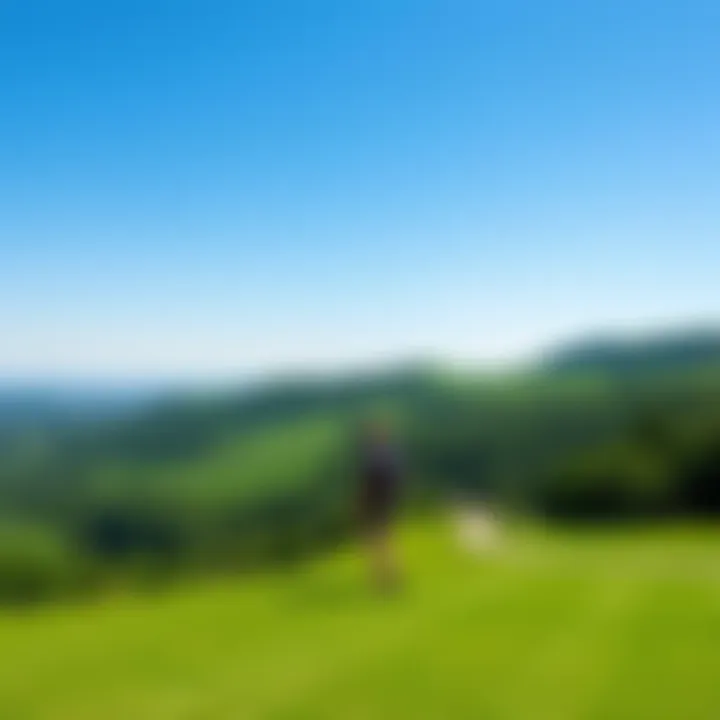 A view of Vermont's lush green hills under a clear blue sky, showcasing the state's natural beauty.