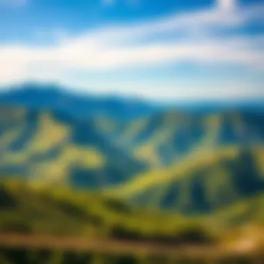 A stunning view of the Wildlands showcasing rolling hills and vibrant greenery under a clear blue sky.