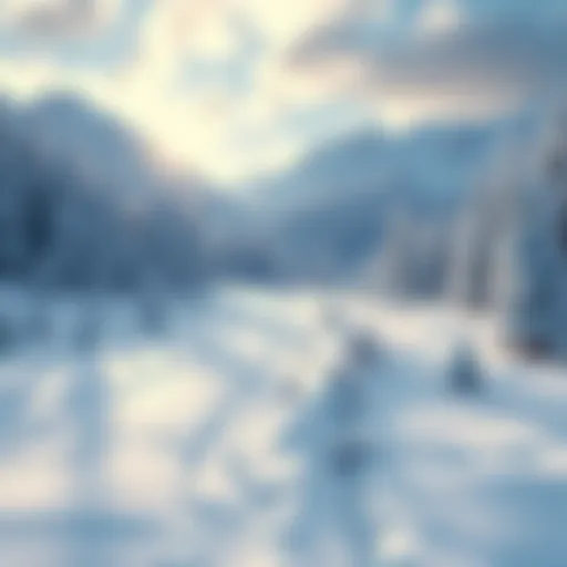 Winter map scene A snowy landscape map with trees and mountains, showcasing a winter theme, highlighting user frustration with temporary seasonal changes.